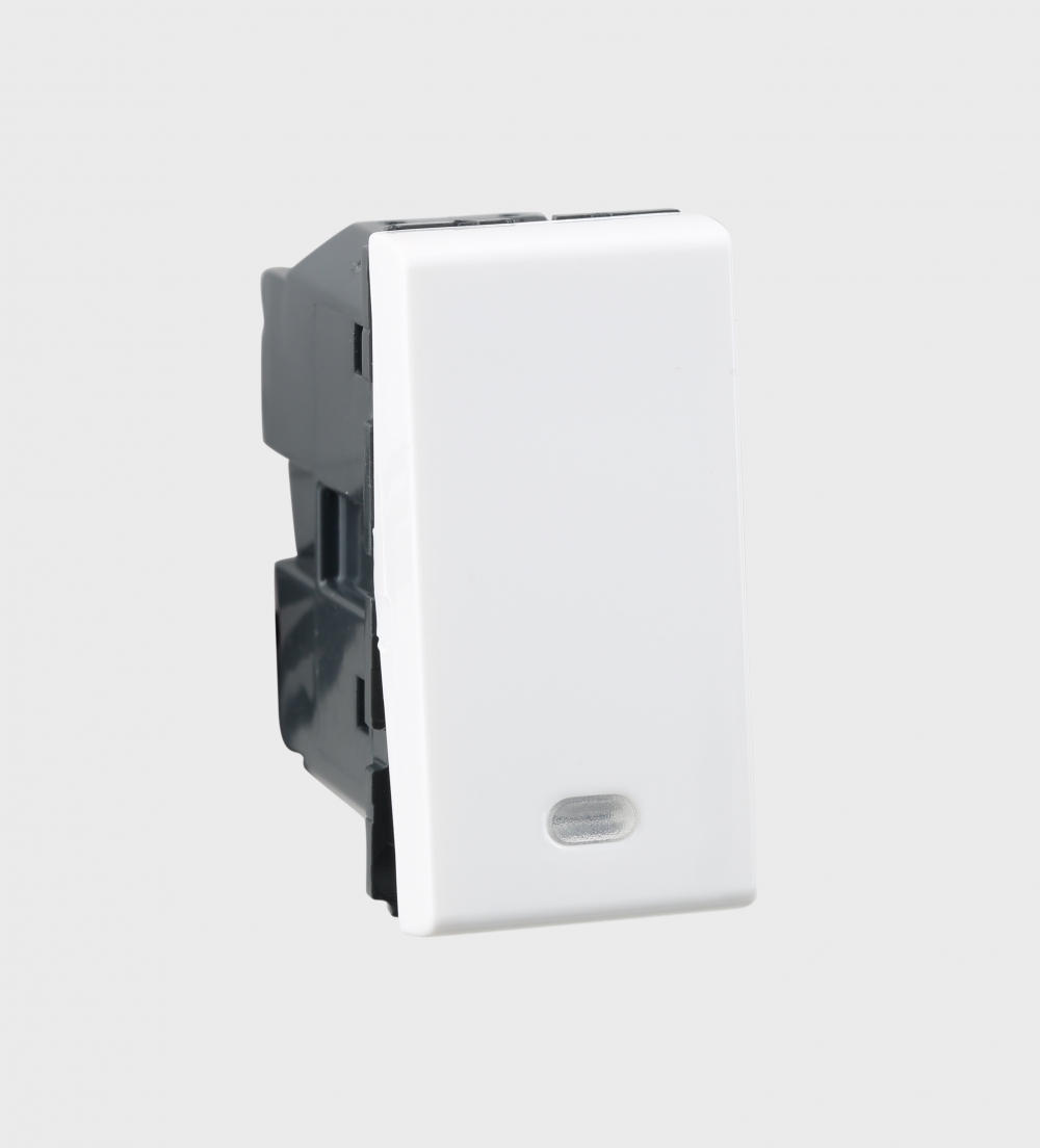 Myrius 25 A SP 1 W Switch with indicator (25 A - 230 V~) - Legrand