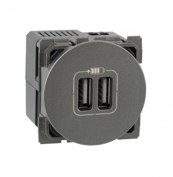 Arteor - Double USB sockets - 5 V - 1500 mA(Magnesium)