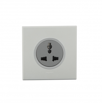 Arteor - Shuttered for child safety- 6/10/13 A - 2/3 pin for 250 V AC 2 modules 45 x 45 mm(Magnesium)