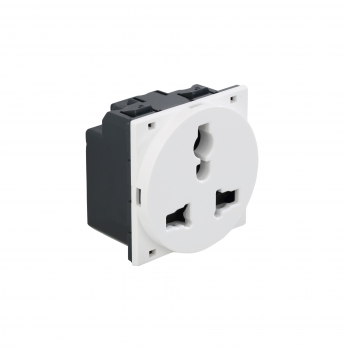 Arteor - Shuttered for child safety- 6/10/13 A - 2/3 pin for 250 V AC 2 modules 45 x 45 mm(White)