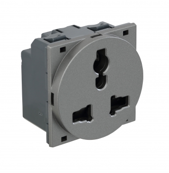 Arteor - Shuttered for child safety- 6/10/13 A - 2/3 pin for 250 V AC 2 modules 45 x 45 mm(Magnesium)